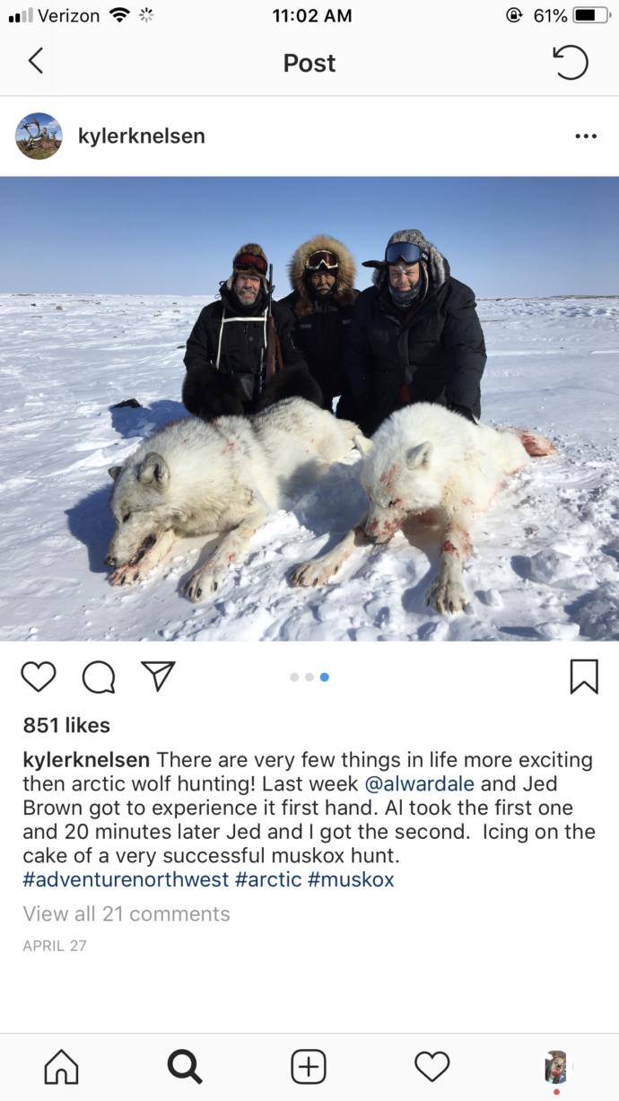What are your thoughts on animal poaching/ people hunting animals for fun?