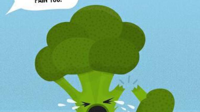 Do Plants and Vegetables Have Feelings?