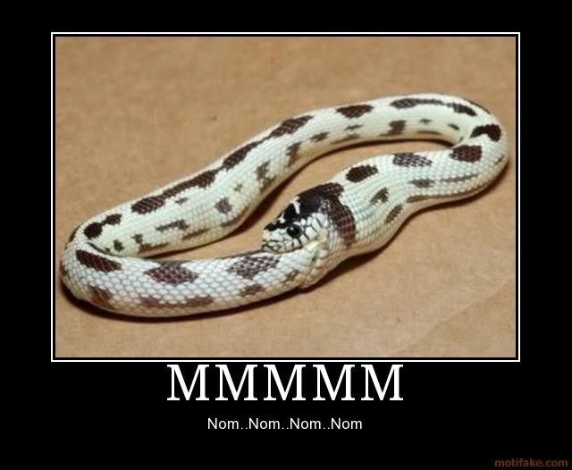 If I ate myself, would I be twice as big or disappear completely?