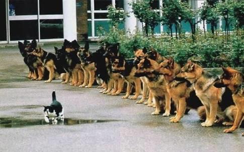 Were you an obedient or rebellious child?