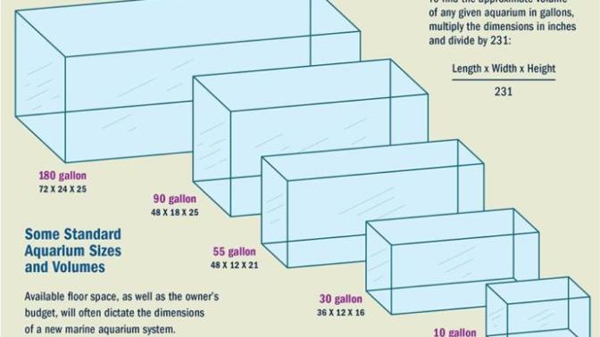 Does sizes matter?