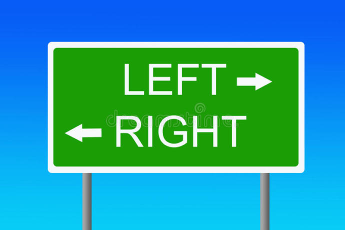 Are you left or right brain?