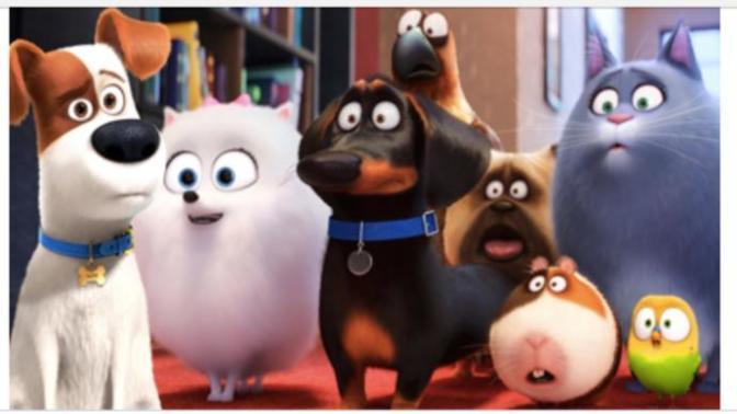 Is it strange that my dog reacts to cartoon animals on the TV?