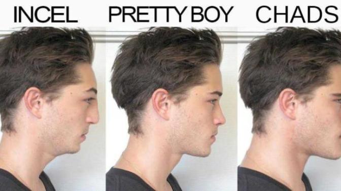 Are the facial features and appearance linked to our genes?