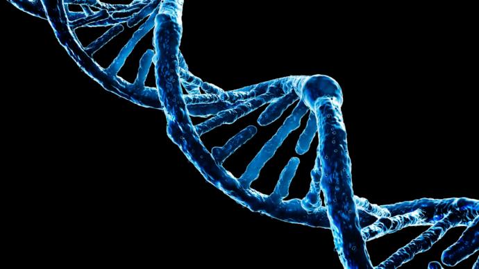 What would you genetically change about humans to make them a better species?