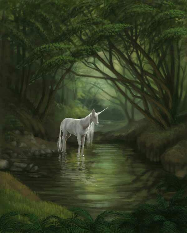 How would you react if you saw a unicorn in a forest?