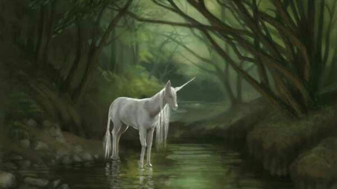 How would you react if you saw a unicorn in a forest?