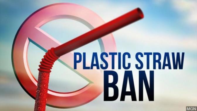Do you think banning plastic straws is a good way of protecting our oceans from environmental pollution?