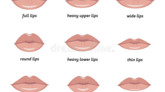 What is your lip shape?