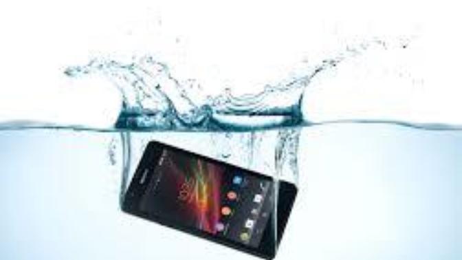 Have you ever dropped your phone in water?