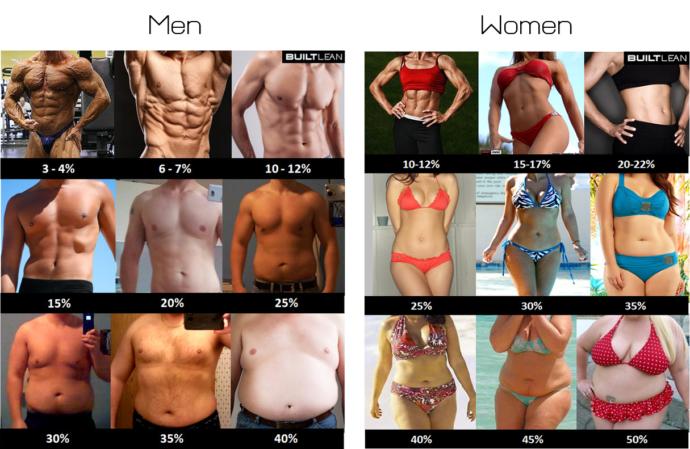 Chubby or fat? where do you draw the line?