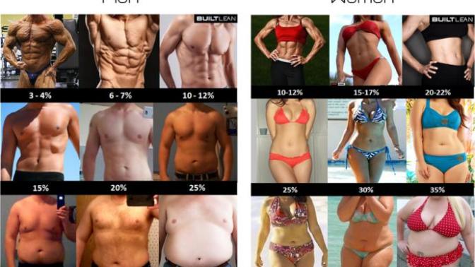 Chubby or fat? where do you draw the line?