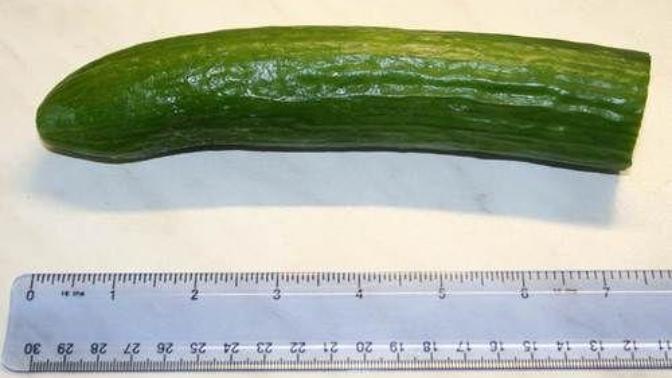 How big dick size is too big? do girls like bigger one?