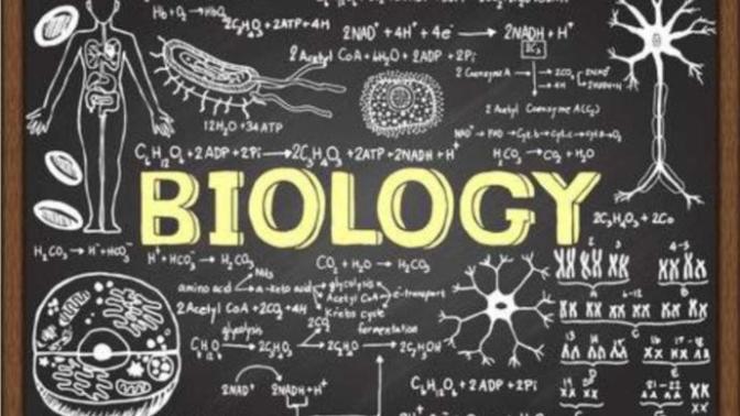 How are college majors zoology and biology different?