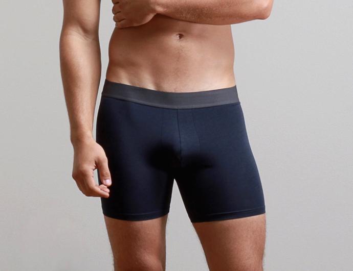 Guys, what underwear do you normally wear?