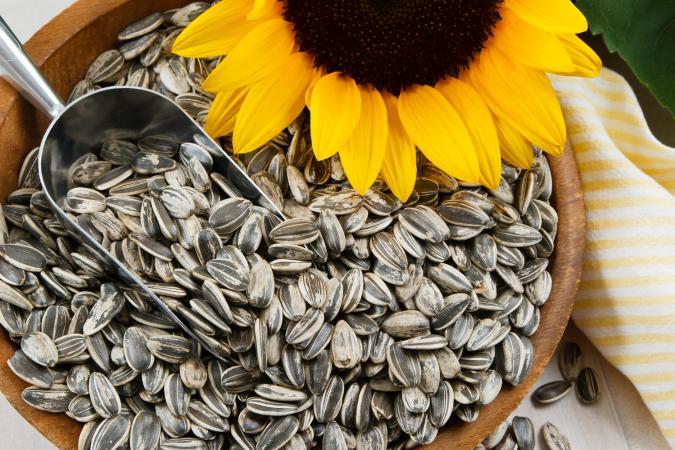 Do you like eating sunflower seed?