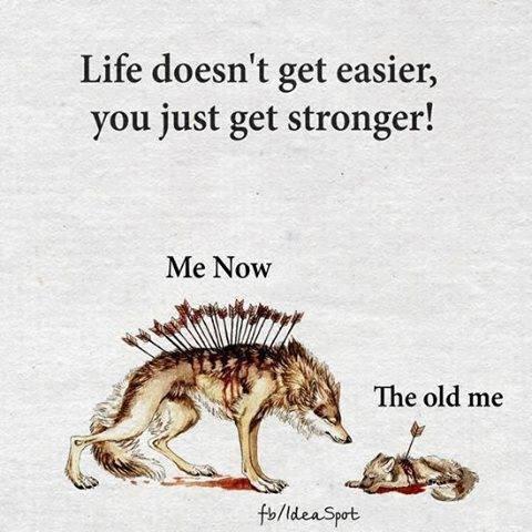 True or false: what doesn't kill you makes you stronger?