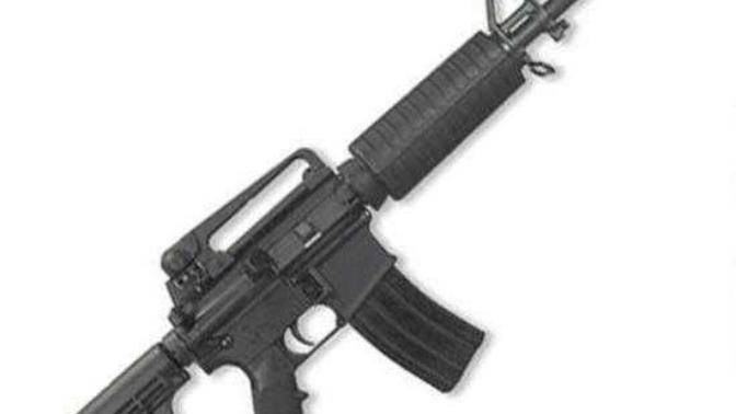 To all American GaGers, what is your take on the second amendment?