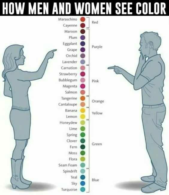 Do girls see colors than guys?
