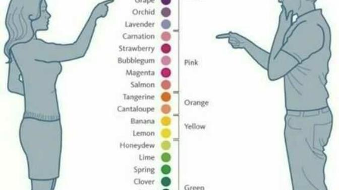 Do girls see colors than guys?