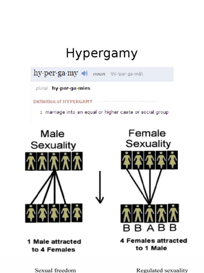 Single Guys, do you sometimes feel like natural selection has chosen you to not to succeed with women?