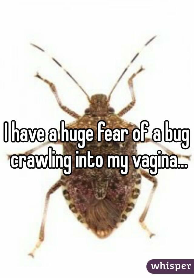 Have you ever had a bug crawl into your private area?