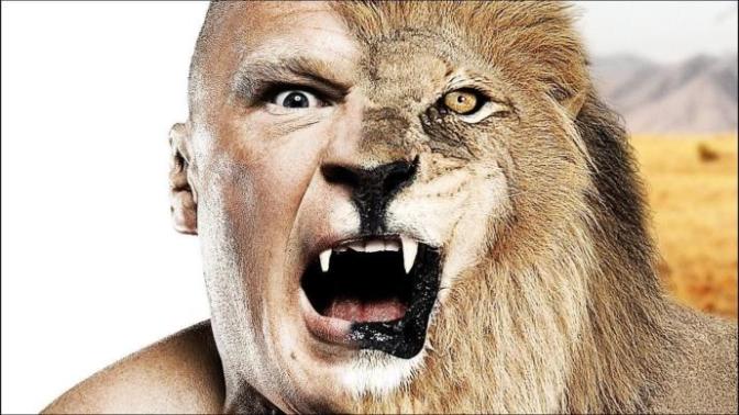 What is your spirit animal and why?