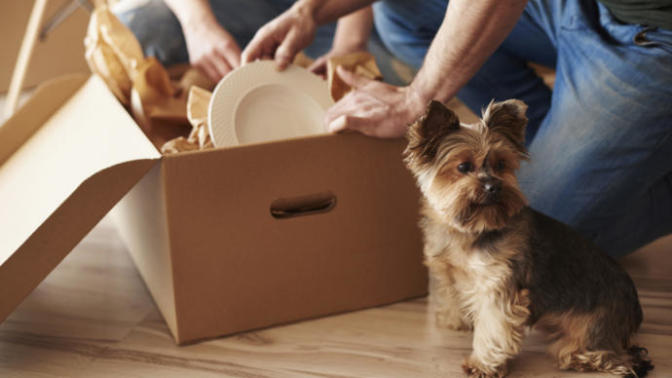 How to talk to my parents about moving out?