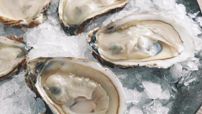 Do you like Oysters?