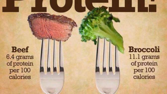 What do you think about this ad regarding of protein consumption?