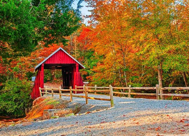 Who is ready for fall weather... football... Halloween?