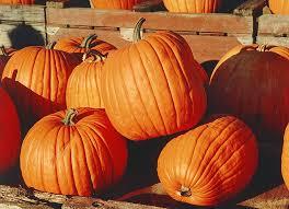 Who is ready for fall weather... football... Halloween?