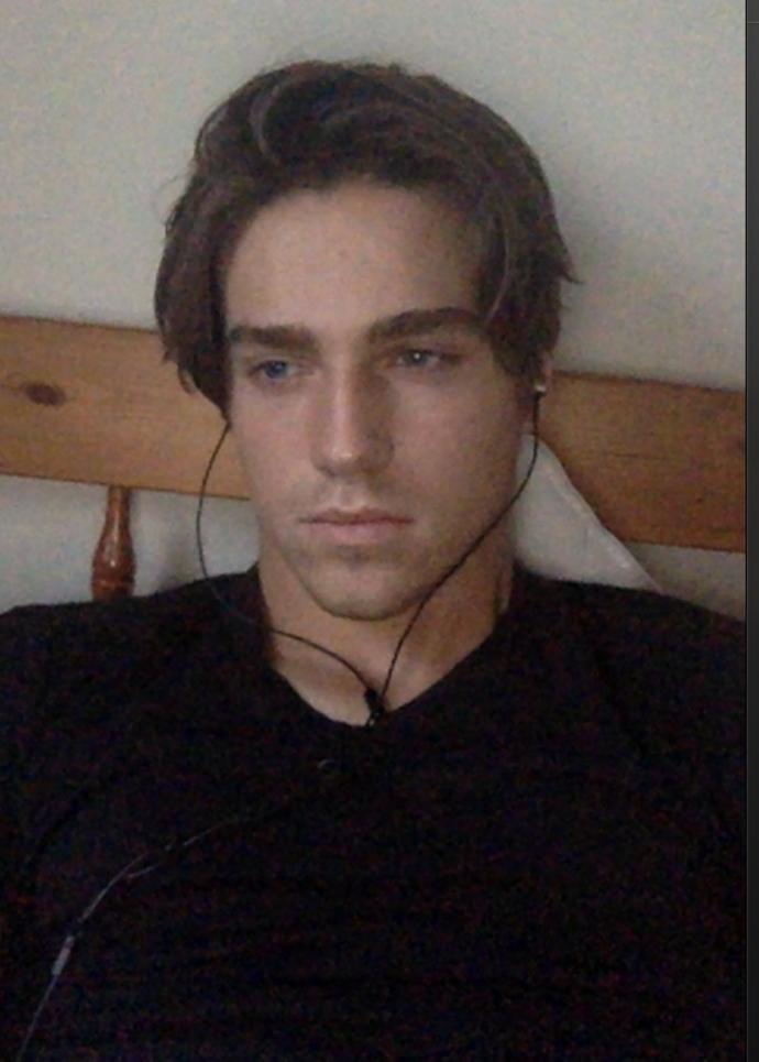 Girls, would you rather have sex with a handsome gorilla or an ugly guy?