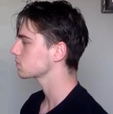 Girls, would you rather have sex with a handsome gorilla or an ugly guy?