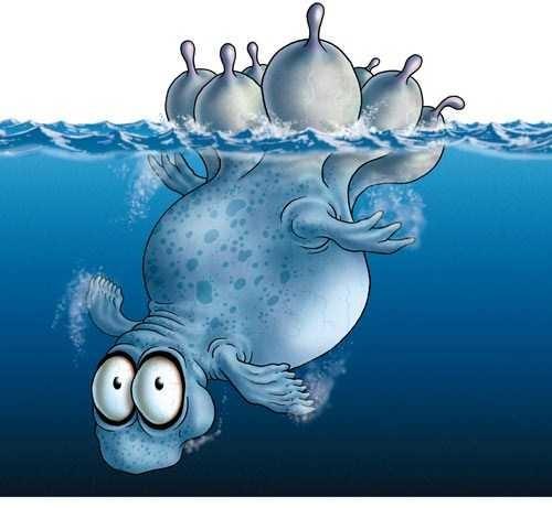 What is your favourite flanimal out of these options? - GirlsAskGuys