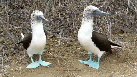 Rate my boobys please?