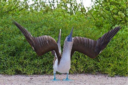 Rate my boobys please?