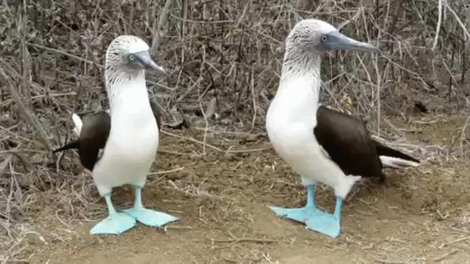 Rate my boobys please?