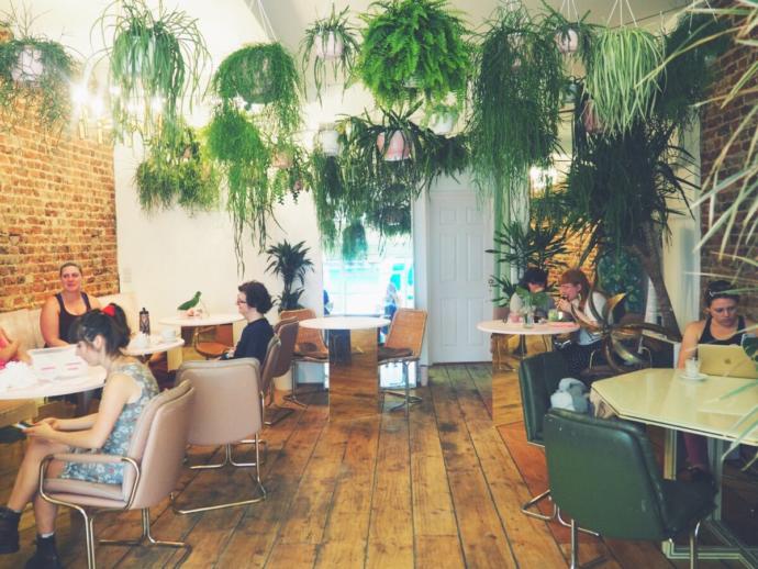Based on these three pictures, is this cafe nice?
