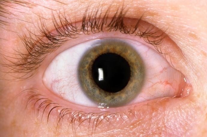 Is it true your pupils dilate when in love?
