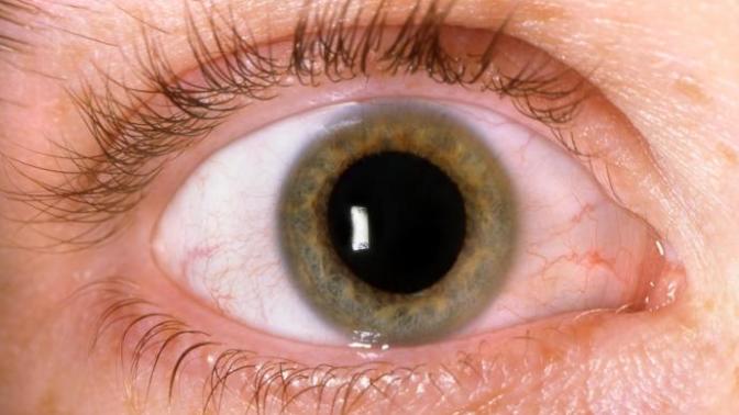 Is it true your pupils dilate when in love?