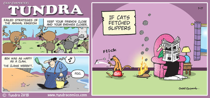 Rate the comic strip Tundra?