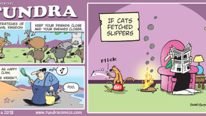 Rate the comic strip Tundra?