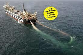 Super fishing trawler clearing the seas of food for whales.