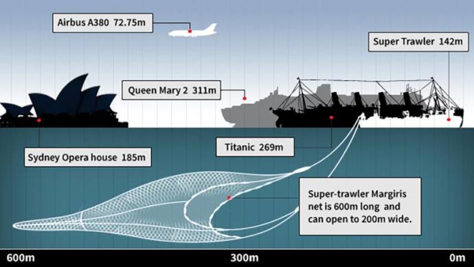 Soon large countries will have fished the seas dry.