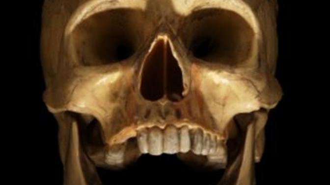 Which morbid question have you always wanted to ask?