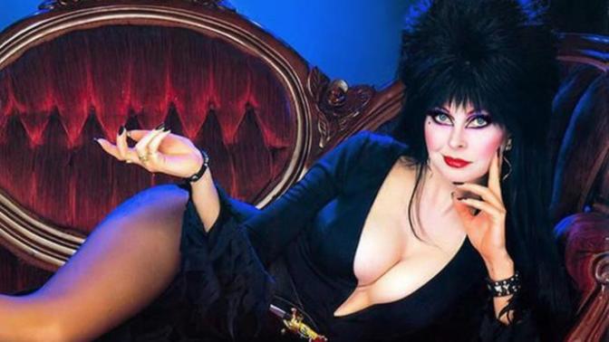 Anyone else ever heard of, or loved, "ELVIRA, MISTRESS OF THE DARK"?
