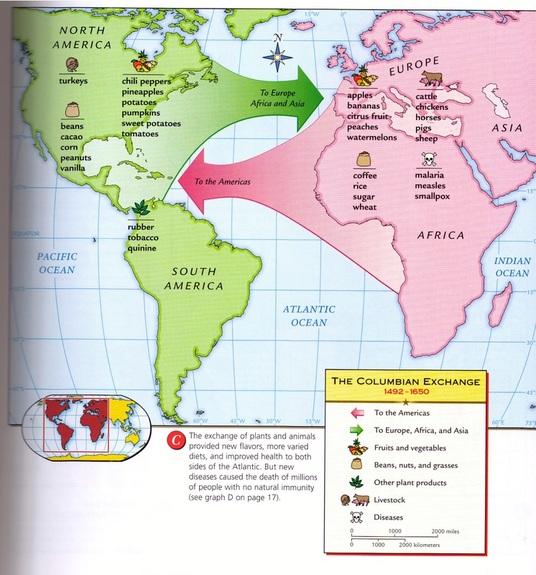 America VS Native Tribes: Justifiable Conquest, Ruthless Genocide, Typical War, Other?