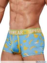 Briefs / trunk / loose boxer??