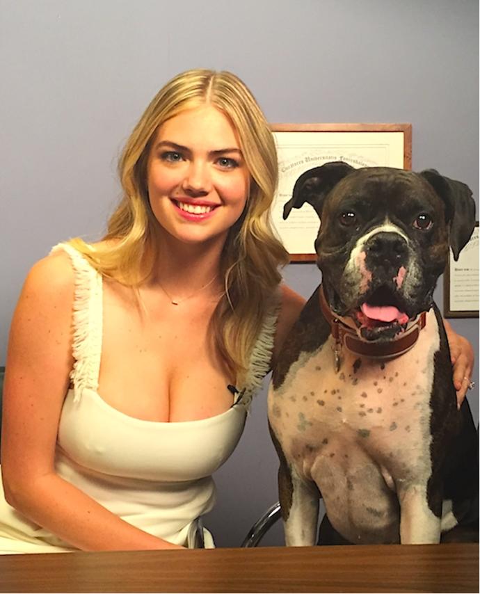 Do you find Kate Upton attractive?